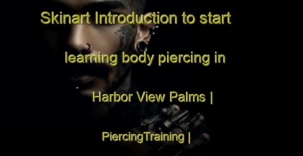 Skinart Introduction to start learning body piercing in Harbor View Palms | PiercingTraining | PiercingClasses | SkinartTraining-United States